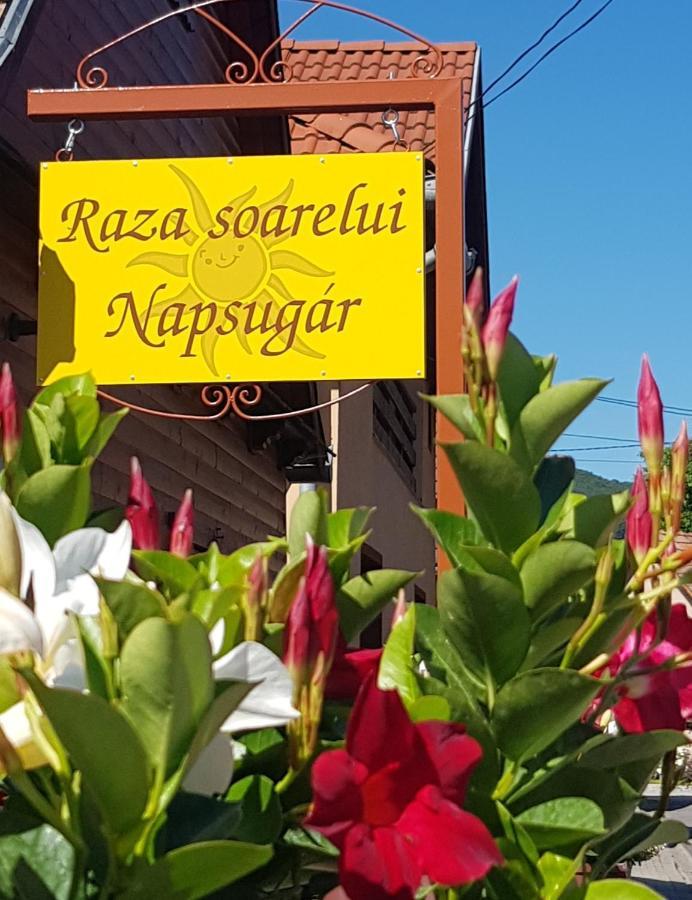 פרייד Raza Soarelui Pension (Adults Only) מראה חיצוני תמונה