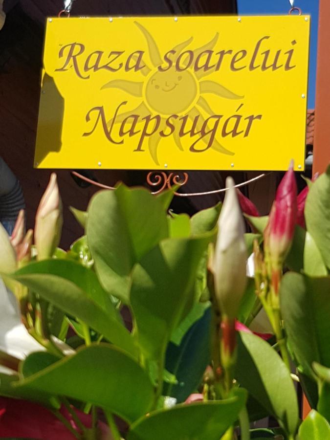 פרייד Raza Soarelui Pension (Adults Only) מראה חיצוני תמונה